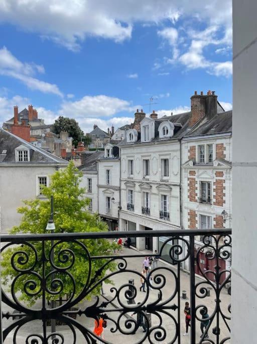 Apartamento ~Rosa Bonheur~Hyper Centre Blois Exterior foto