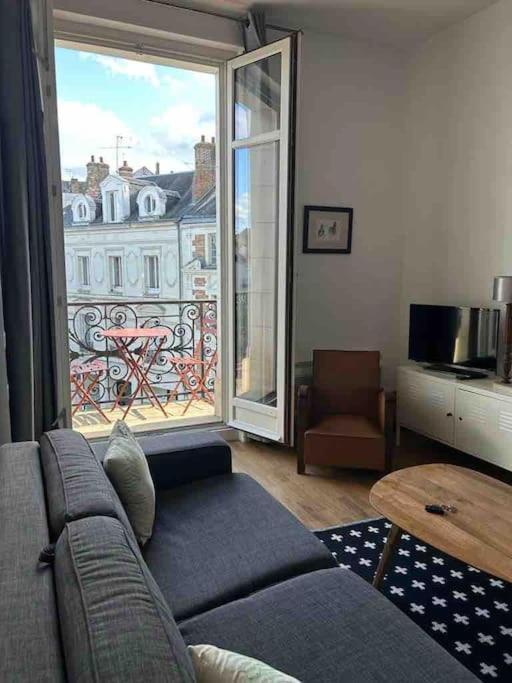 Apartamento ~Rosa Bonheur~Hyper Centre Blois Exterior foto